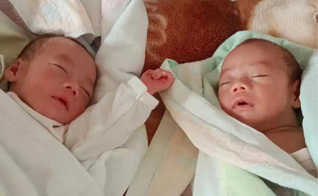 南山代生宝宝龙凤胎